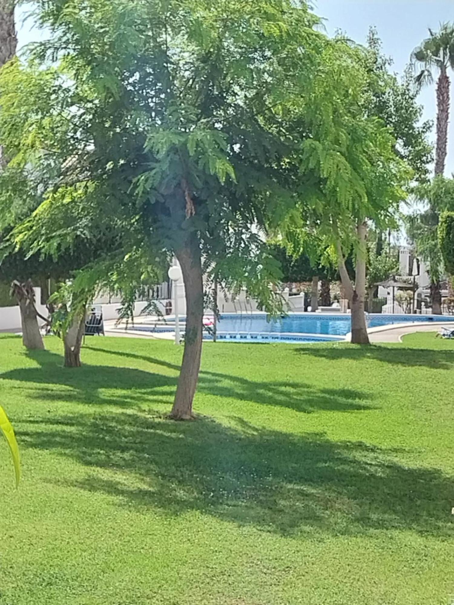 Charming Apartment In Front Of Villamartin Golf And Plaza Ngoại thất bức ảnh